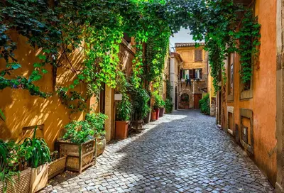 an alley in an old town with plants and ivy at Bed and Breakfast Zoe holiday in Rome