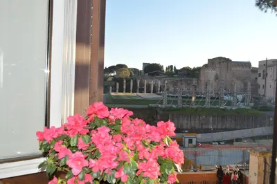 a window with a bunch of pink flowers on a window sill at Balcony Colosseum View in Rome