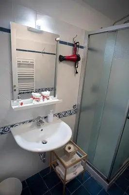 a bathroom with a sink and a shower at Il Bonsai B&B in Rome