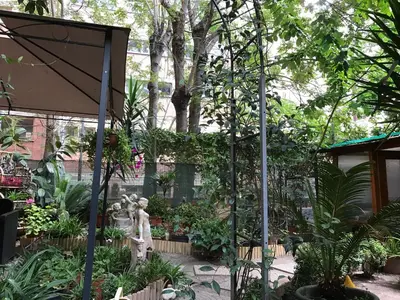 a garden with a lot of plants and trees at La Casa di Elena in Rome