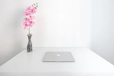 a vase of pink flowers sitting on a table with a laptop at Caracciolo Apartment - Metro San Giovanni in Rome