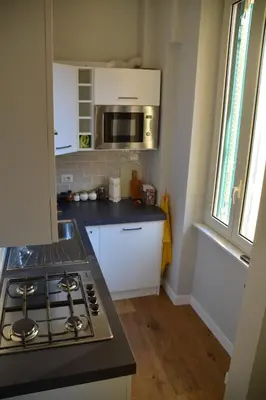 a kitchen with a stove and a microwave at La Casetta del Flaminio a Roma Centro in Rome