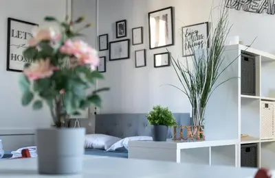 a room with potted plants on a table at Cozy studio Campo de Fiori in Rome