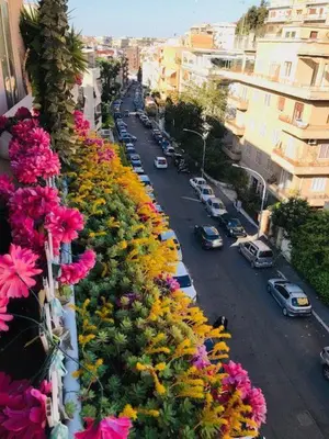a view of a street with flowers on a balcony at B&B Seneca in Rome