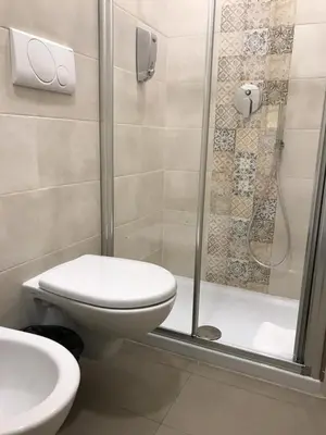 a bathroom with a toilet and a shower at BorgoNove in Rome