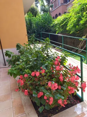 a planter of red flowers in a garden at Angolo sul Giardino in Rome