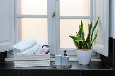 a bathroom counter with towels and a plant on it at LUXURY APARTMENT VATICANO-S'PETER BASILICA - NETFLIX Wifi - AirCond in Rome