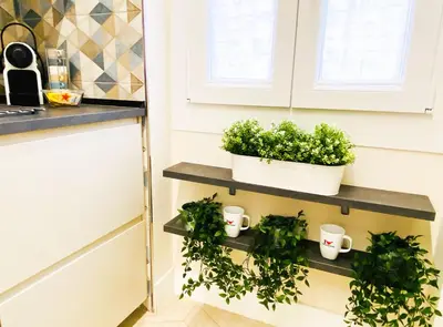 a kitchen with two plants on a shelf at Trastevere Boulevard in Rome