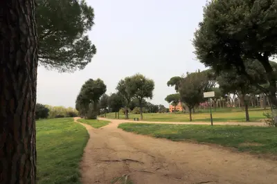 a dirt road in a park with trees and grass at Pamphili Park Romantic Retreat in Rome