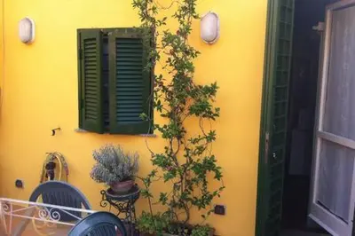 a yellow wall with a window and a plant at Coliseum top floor with terrace and view in Rome