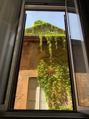 a window view of a building with a plant at Navona Relais - Center of Rome in Rome