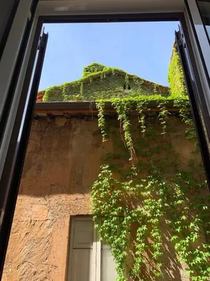 a building with green ivy growing on the side of it at Navona Relais - Center of Rome in Rome