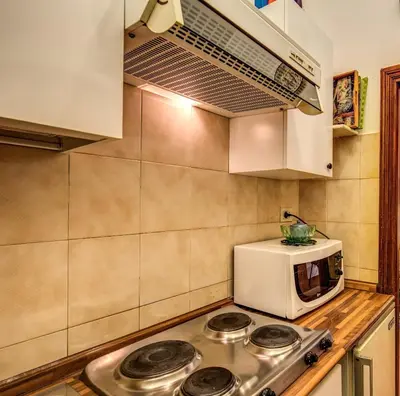 a kitchen with a stove and a microwave at Roman Atmospheres in Rome