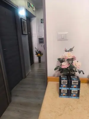 a hallway with a door with a plant on top at Napoleone Luxury Home roma in Rome