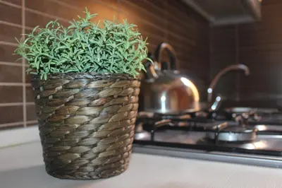 a plant in a basket on a counter in a kitchen at Riari 59 Rome Trastevere - Rome Vacation M&D in Rome