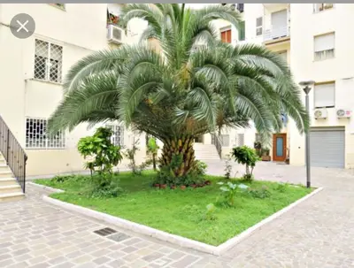a palm tree in front of a building at Uso Turistico vicino San Giovanni in Rome