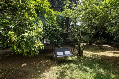 a chair sitting in the grass under a tree at Vatican Quiet Apartment with Garden & Parking in Rome