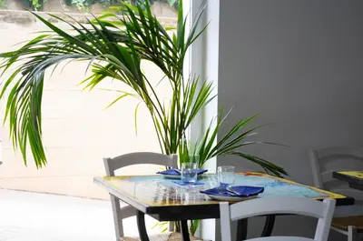 a table with a potted plant on top of it at Il Faro Gianicolense in Rome