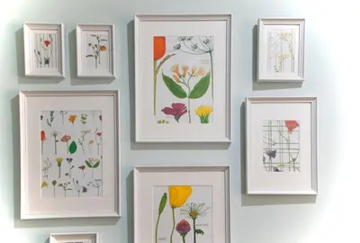 a wall with four framed pictures of flowers at Vatican Rooms Accommodation in Rome