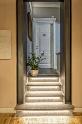 a stairway with a potted plant in front of a door at La Maison di Sant'Anna in Rome