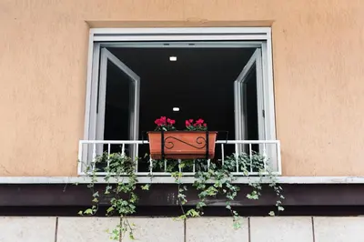 a window with a flower pot on a balcony at Ziani Vatican Boutique in Rome