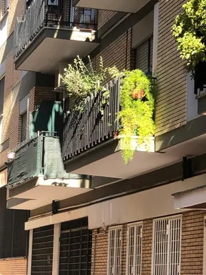 a balcony with plants on the side of a building at The Royals in Rome