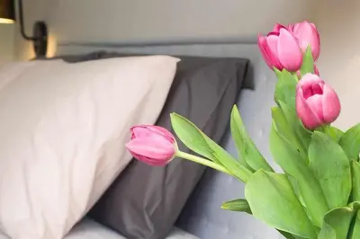 a bunch of pink tulips in a vase next to a pillow at AventinoHome in Rome