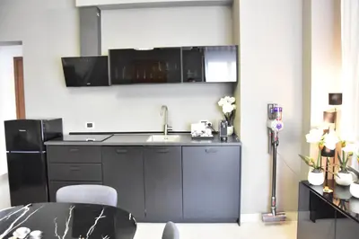 a kitchen with a sink and a black refrigerator at Diasof Apartments in Rome