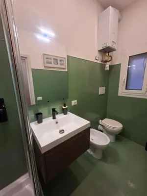 a green bathroom with a sink and a toilet at Athena's Apartment in Rome