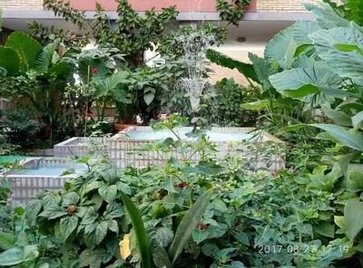 a garden filled with lots of green plants at Garbatella Chippendale Apartment in Rome