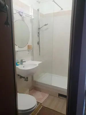 a bathroom with a sink and a toilet and a shower at Chez Liviana in Rome