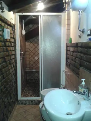 a bathroom with a shower and a white sink at B&BGarbatella in Rome