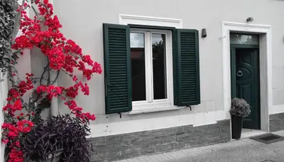 a building with two windows and red flowers at B&B Abbraccia Morfeo in Rome