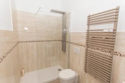 a bathroom with a shower and a toilet at San Pietro Home in Rome
