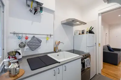 a kitchen with a sink and a refrigerator at Giulio Cesare Apartment in Rome