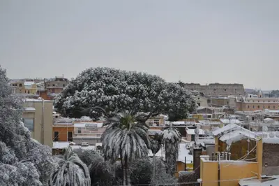 a view of a city with a tree and buildings at TreasureRome Daphne Terrace in Rome