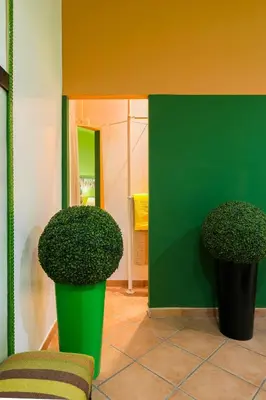 two plants in a room with a green wall at Appartamenti MarcoAurelio49 in Rome