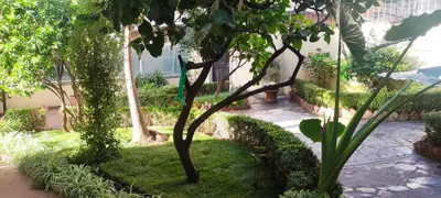 a garden with trees and plants on a sidewalk at Villa Angeli in Rome