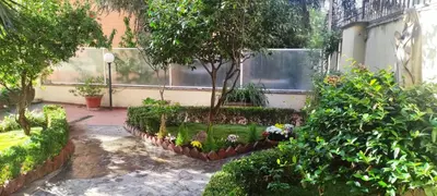 a garden with a tree and some plants at Villa Angeli in Rome