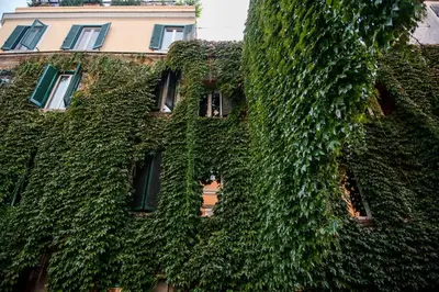 a building covered in ivy with a person in a window at Colosseum/Panisperna Nina apartament with terrace in Rome