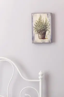 a picture of a plant in a pot on a wall at DD Luxury House in Rome