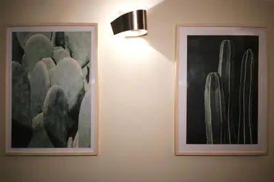 two pictures of cacti on a wall with a light at Boschetto Monti Apartment in Rome