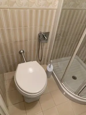 a bathroom with a toilet and a shower at B&b Querini in Rome