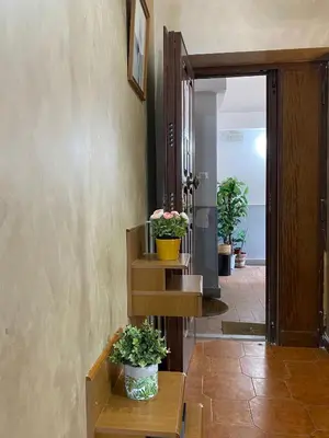 a hallway with two potted plants sitting on a bench at Milazzo Luxury Home roma in Rome