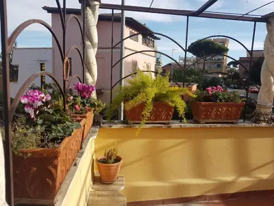 a group of potted plants on a balcony at La casetta di Anastasia in Rome