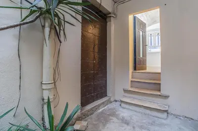 an entrance to a house with a plant next to a door at groundfloor wonderfull apartment in Rome