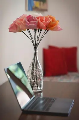 a vase with a flower and a laptop on a table at Le Tare B&B in Rome