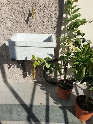 a sink and two potted plants next to a wall at Casa Caudì in Rome