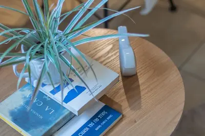a table with a book and a plant on it at Vaticano San Pietro Apartment in Rome