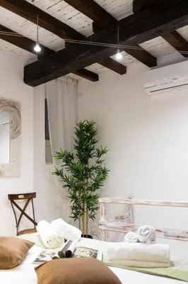 a room with a bed and a plant in it at Sofia alla VII Coorte in Rome